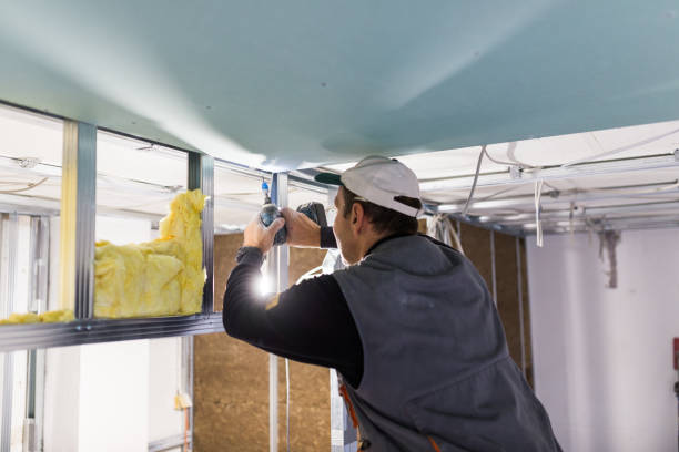 Best Insulation Maintenance and Repair in Harrington Park, NJ