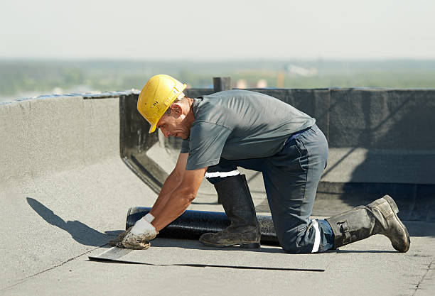 Best DIY Insulation Kits and Guidance in Harrington Park, NJ